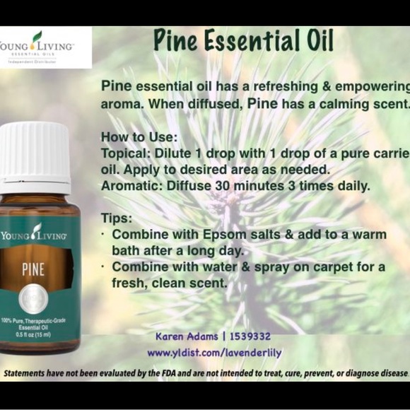 Young Living PINE Essential Oil | 15ml - Picture 2 of 3